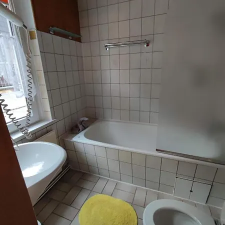 Thueringer Hof Hotel Ziegenrück